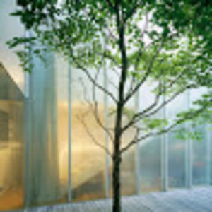 Meet your Posher, Reilly